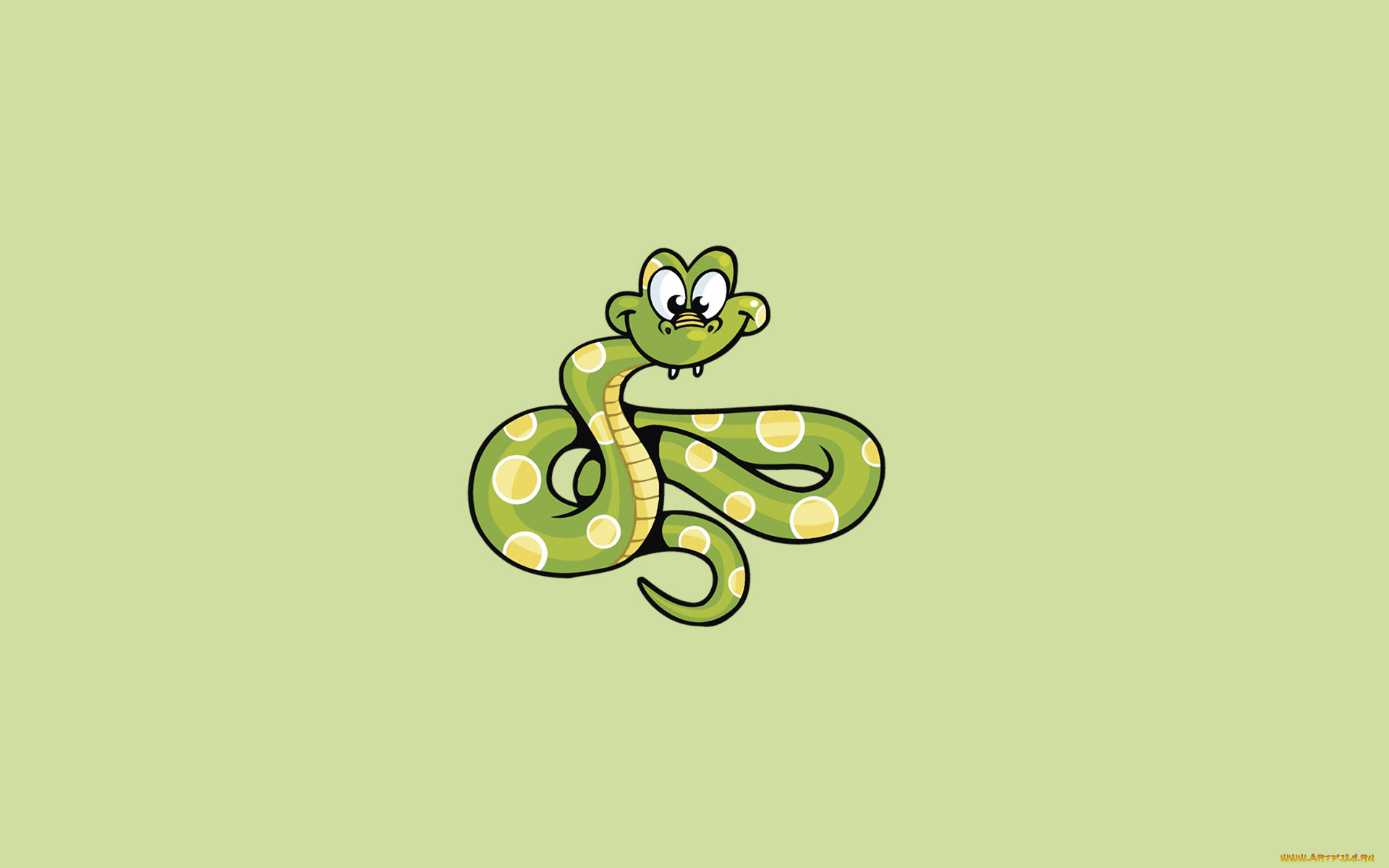, , , , , snake